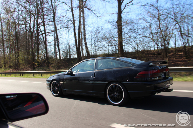 w_web_IMG_4637.JPG