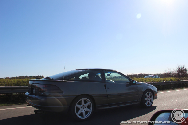 w_web_IMG_4508.JPG