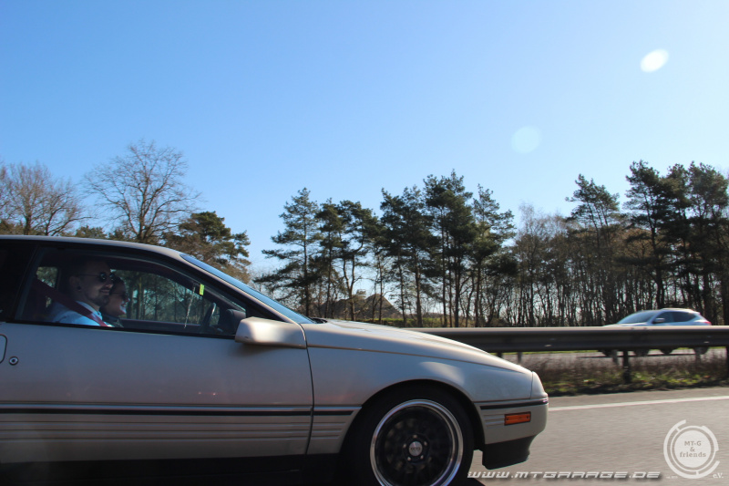 w_web_IMG_4475.JPG